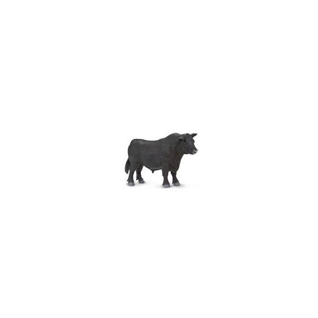 SAFARI - TORO ANGUS