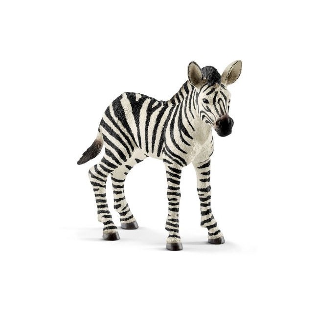 SCHLEICH-PULEDRO DI ZEBRA