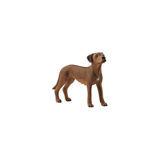 SCHLEICH ANIMALI - CANE RHODESIAN RIDGEBACK 