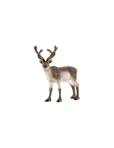 SCHLEICH ANIMALI - RENNA