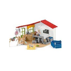 Clinica veterinaria con...