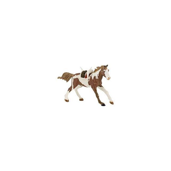 Cavallo Sioux