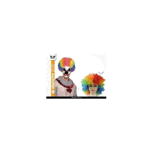 Parrucca clown multicolor