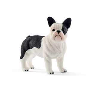 Bulldog francese