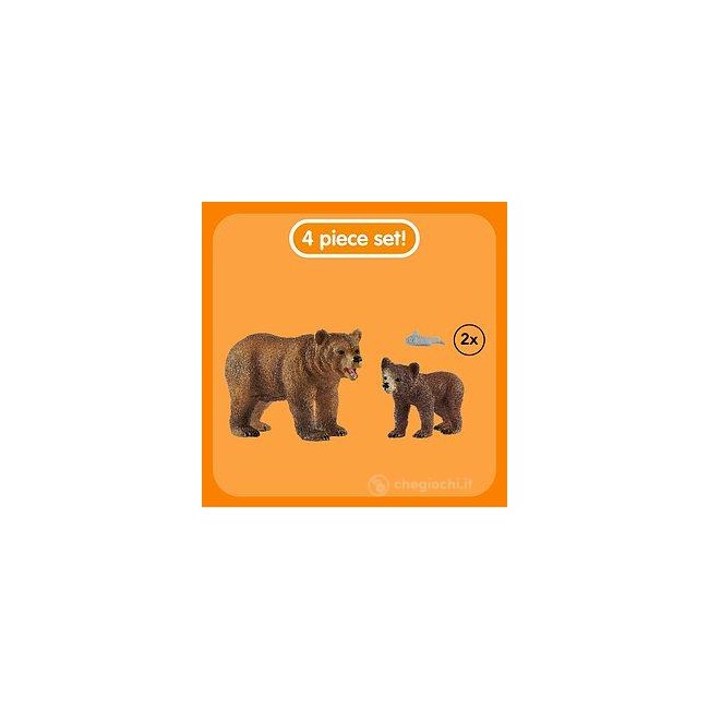 Mamma orsa grizzly con cucciolo -...