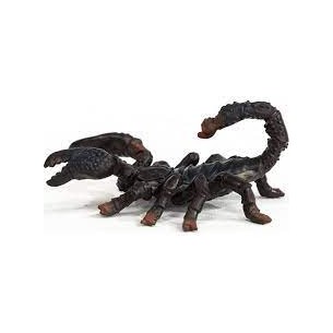 Scorpione imperatore - Wild...