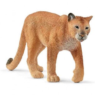 Puma - Wild Life