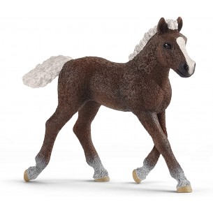 Cavallo Puledro foresta...