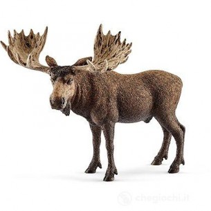 Maschio di alce - Wild Life