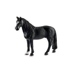 Cavallo Castrone Tennessee...