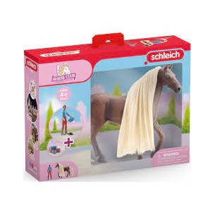 Cavallo da pettinare...