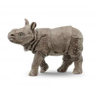 Cucciolo di rinoceronte...