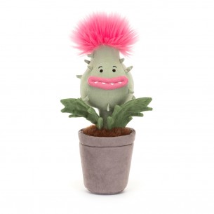 Pianta carnivora Priscilla...