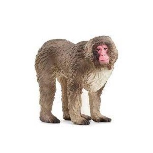 Macaco giapponese Schleich...