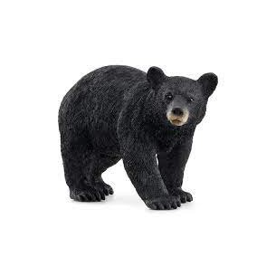 Orso nero americano - Wild...