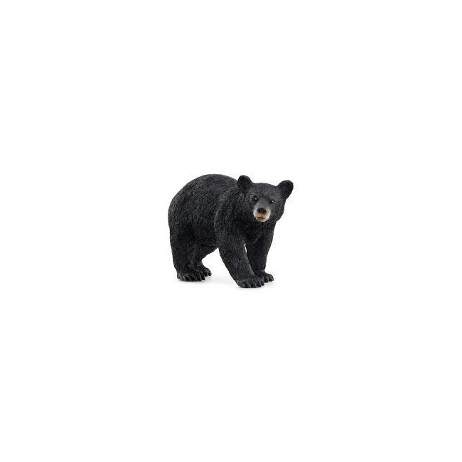 Orso nero americano - Wild Life -...