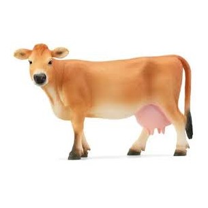 MUCCA Jersey Schleich 13967