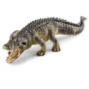 COCCODRILLO Alligatore -...