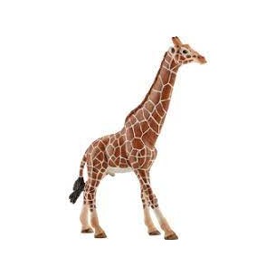 Giraffa maschio Schleich...