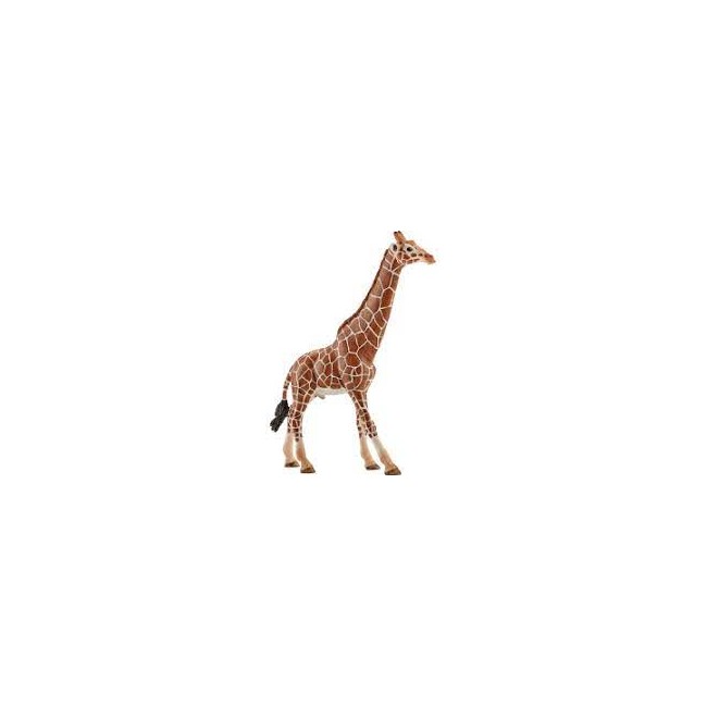 Giraffa maschio Schleich grande 14749