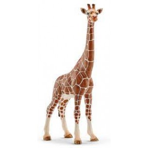 Giraffa femmina Schleich... 2