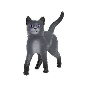 Scuola degli animali magici...
