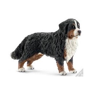 CANE BOVARO BERNESE femmina...