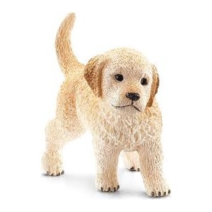 CANE CUCCIOLO GOLDEN...