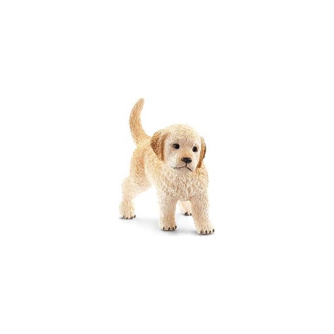 CANE CUCCIOLO GOLDEN RETRIEVER...