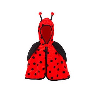Costume da Coccinella 2...