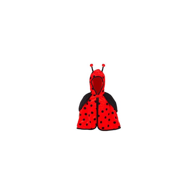 Costume da Coccinella 2 anni  Souza
