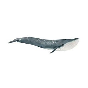 Balenottera azzurra Schleich