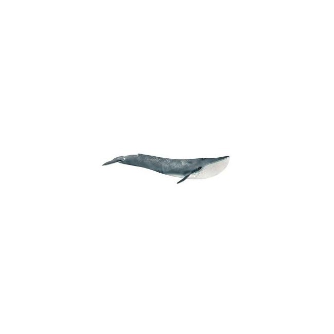 Balenottera azzurra Schleich