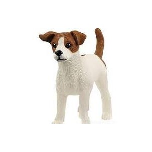 Jack Russel Terrier Farm...