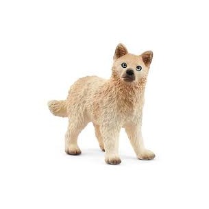 Cucciolo di lupo artico...