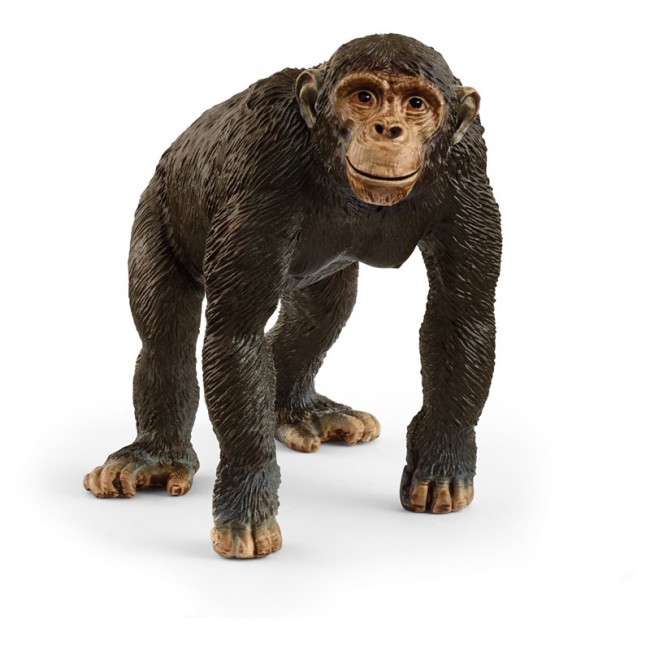 Scimpanze' Wild Life SCHLEICH