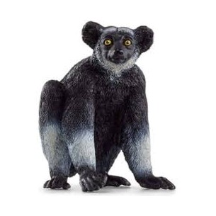 Indri lemure Wild Life...