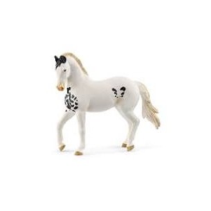 STALLONE MARWARI cavallo...