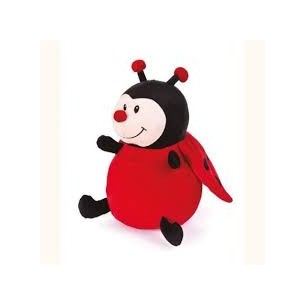 Coccinella morbida di...