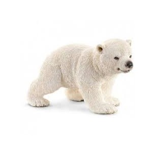 Cucciolo di orso polare che...