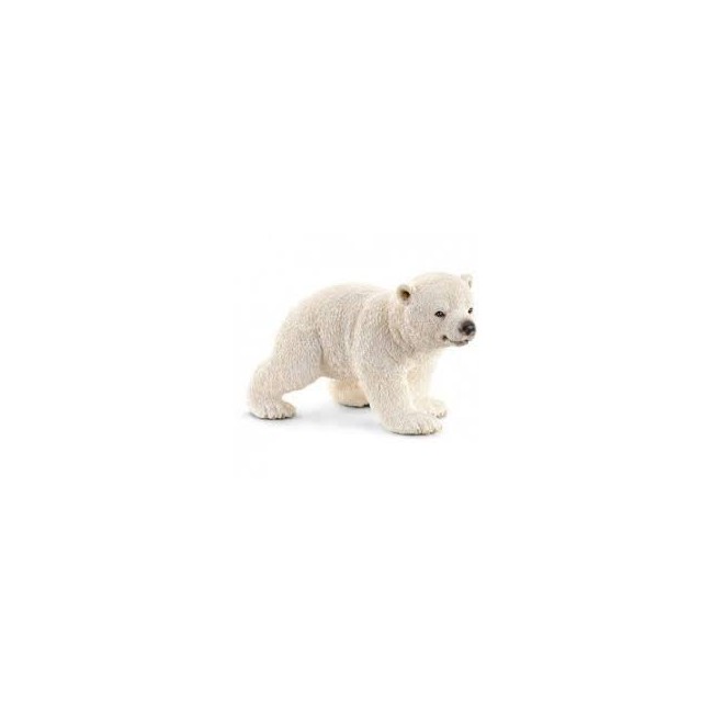 Cucciolo di orso polare che cammina...