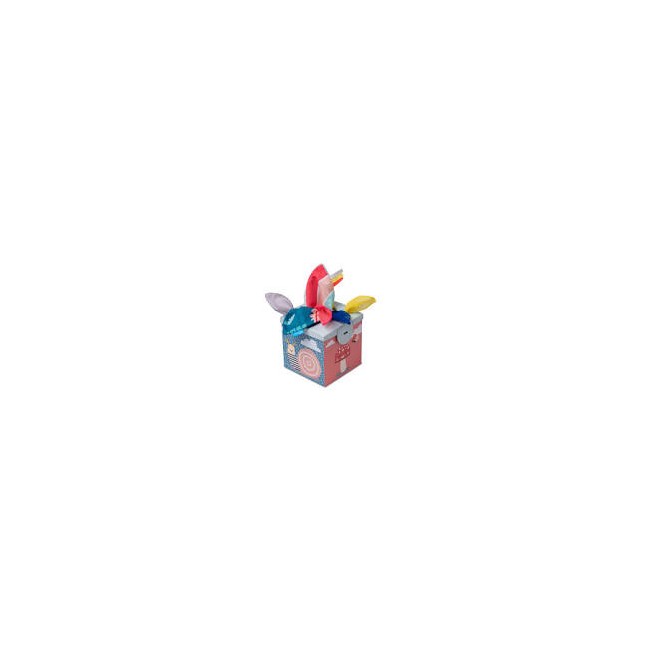 Box gioco con fazzoletti - Taf Toys...
