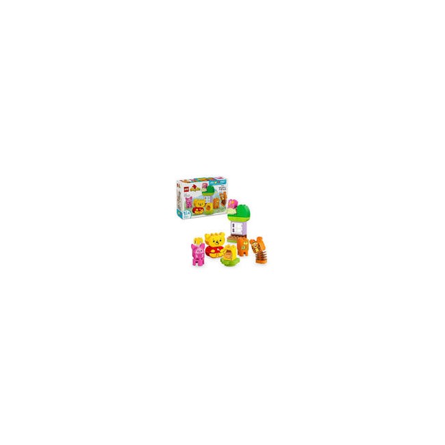 Duplo Winnie the Pooh's compleanno 10457