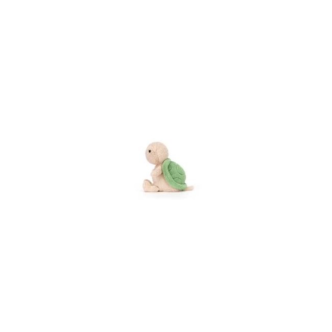 Tartaruga piccola seduta di peluche...