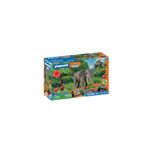 Elefante con guardiano di...