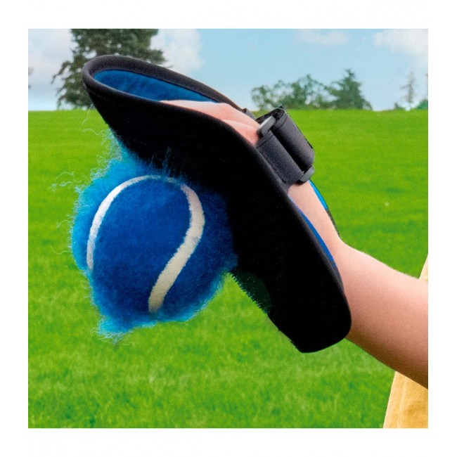 Toss & Catch Ball Game