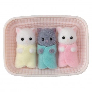 Trigemini gatto persiano -... 2