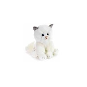 Raji gatto bianco seduto...