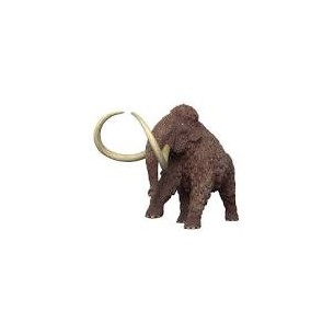 Mammut gigante preistorico...