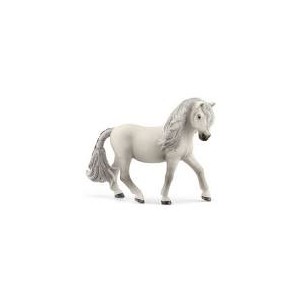Cavallo Iceland Pony Mare...